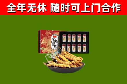 孙吴县回收冬虫夏草价格